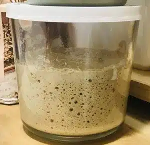 Masa Madre