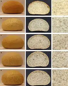enzimas pan